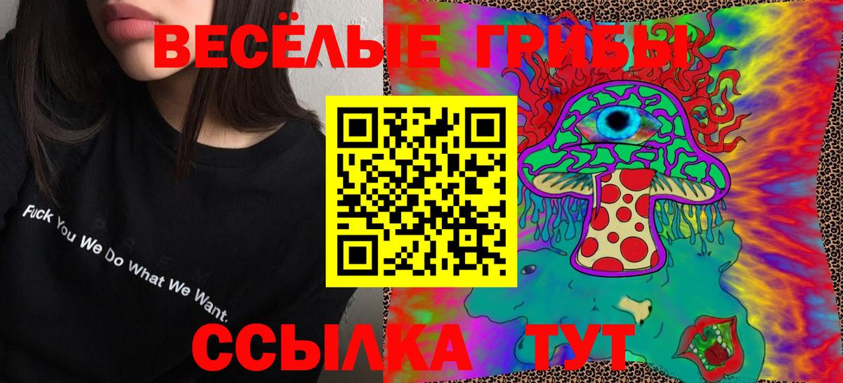 Псилоцибиновые грибы прущие грибы Волжск